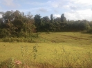 PernemPlots_1